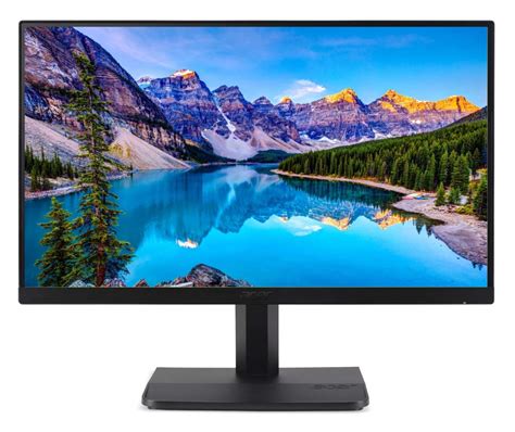 Computer Monitors .